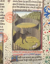 Wolf About to Attack a Lamb, from the Livre de la Chasse by Gaston Phebus de Foix